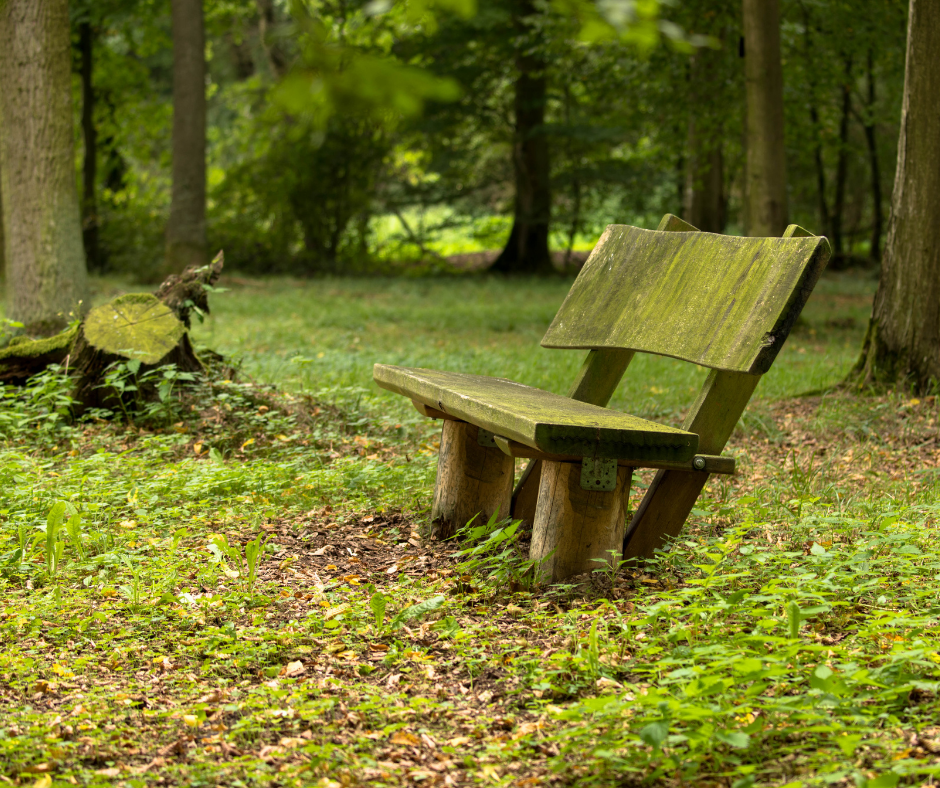 mossy wood chair in the forest | What Should I Expect To Pay For a Funeral? & Other Money Saving Tips | Overnight Caskets