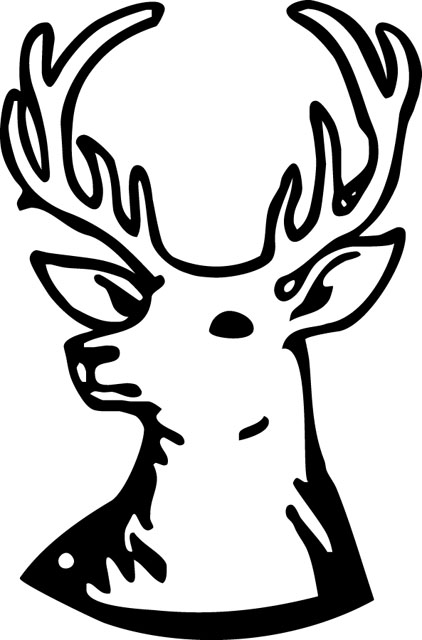 WILD001