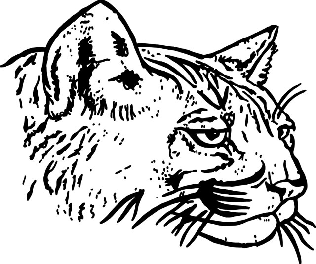 WILD003