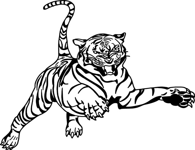 WILD008