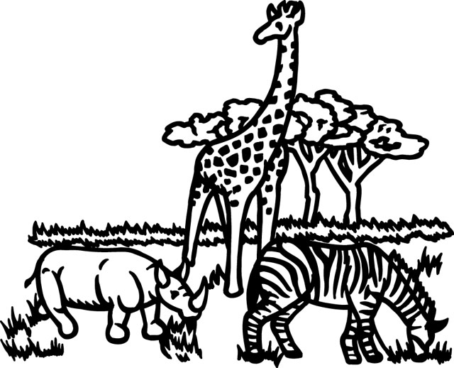 WILD019
